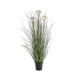 GALLERY POTTED GRASS - WHITE