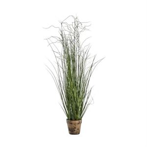 GALLERY POTTED ONION GRASS - GREEN