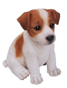 PP-JACK-F JACK RUSSELL PUPPY