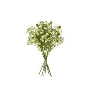 GALLERY QUEEN ANNES LACE SPRAY SINGLE WHITE
